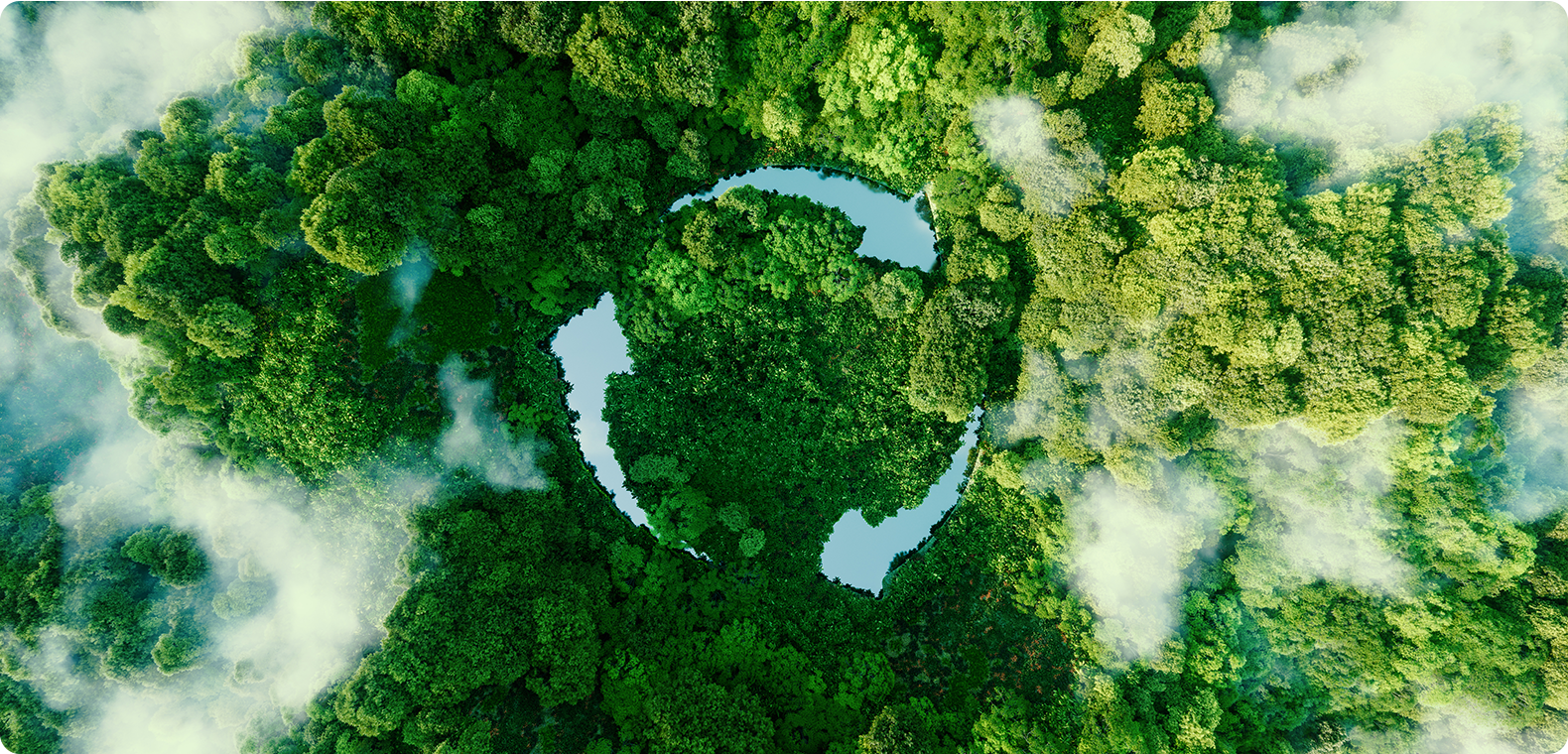 شركة تشجيانغ فانغيوان للمواد الجديدة المحدودة